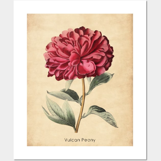 Vulcan Peony Wall Art by ptMaker